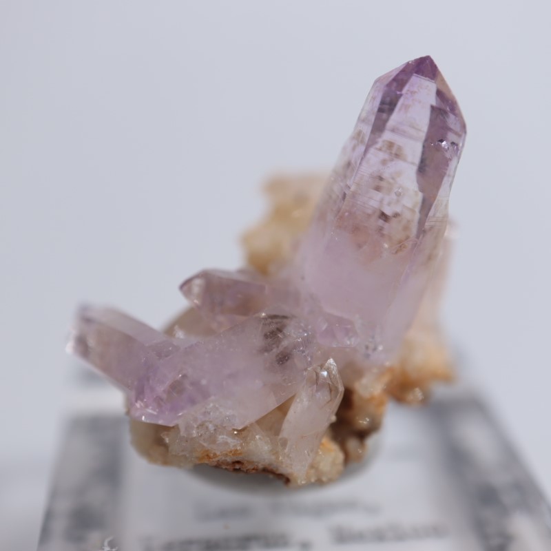 �٥饯�륹�������᥷����