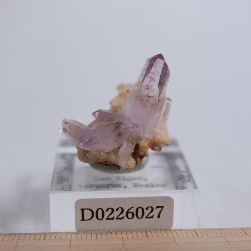 �٥饯�륹�������᥷����