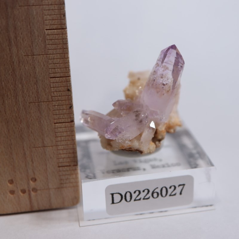 �٥饯�륹�������᥷����