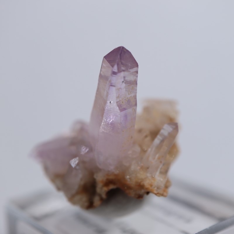 �٥饯�륹�������᥷����