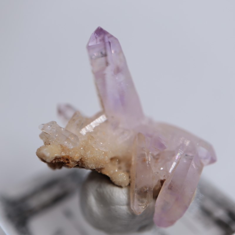 �٥饯�륹�������᥷����