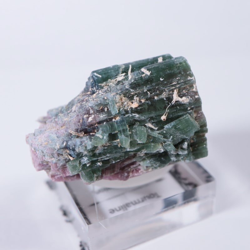 �ʥߥӥ������ȥ�ޥ��