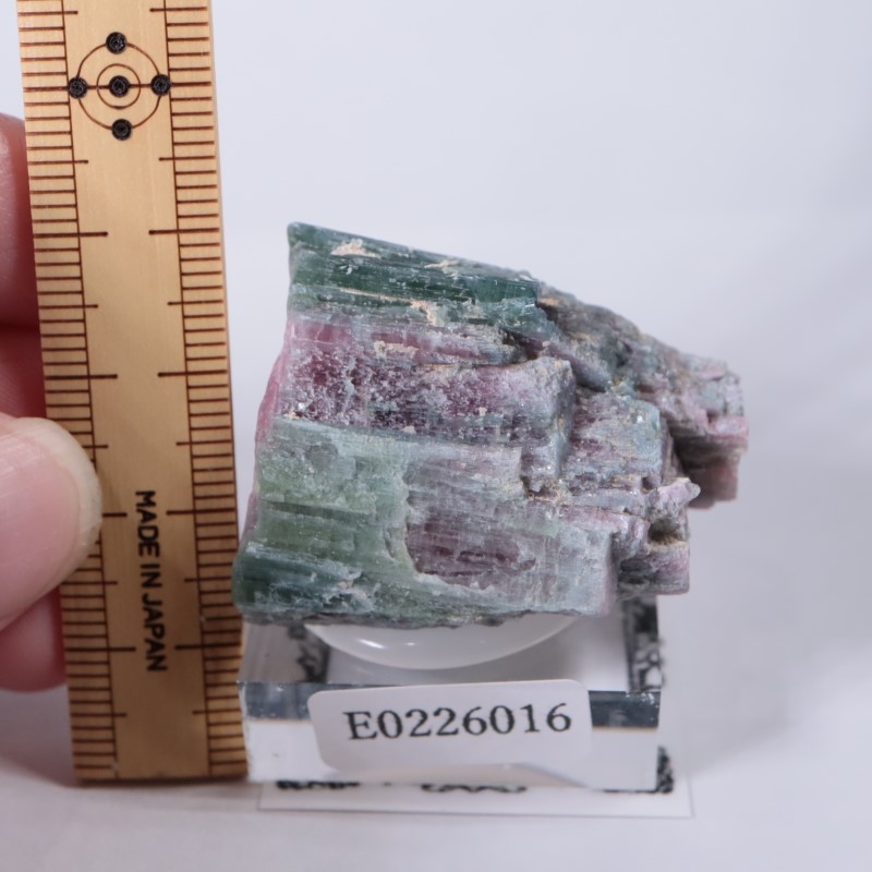 �ʥߥӥ������ȥ�ޥ��