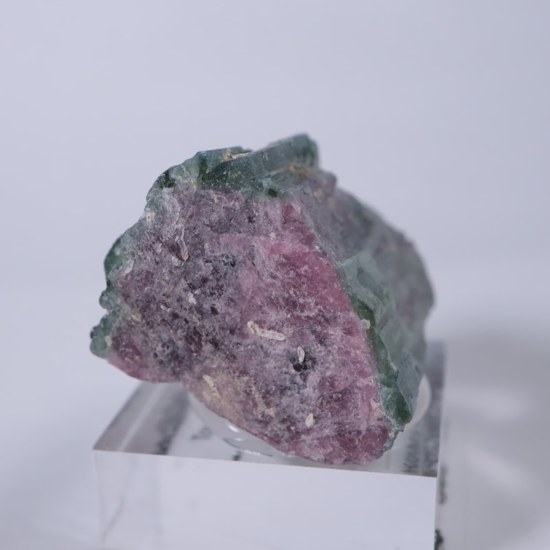 �ʥߥӥ������ȥ�ޥ��