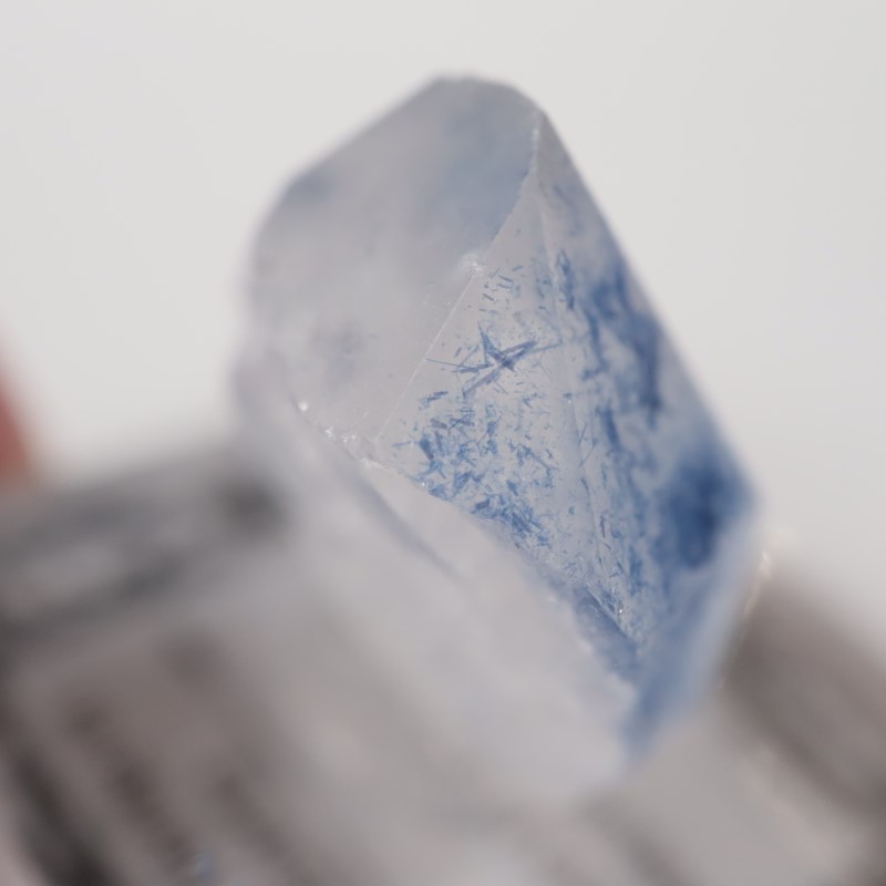 �ǥ�������饤������徽