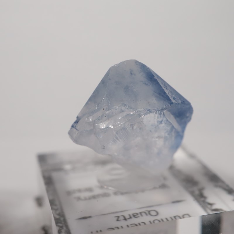 �ǥ�������饤������徽