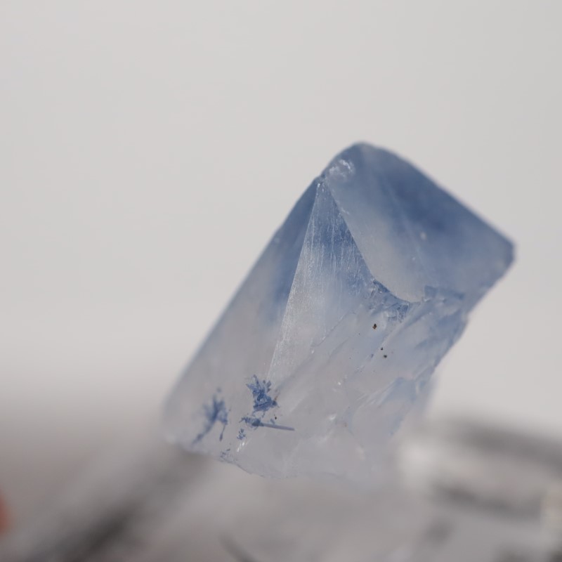 �ǥ�������饤������徽