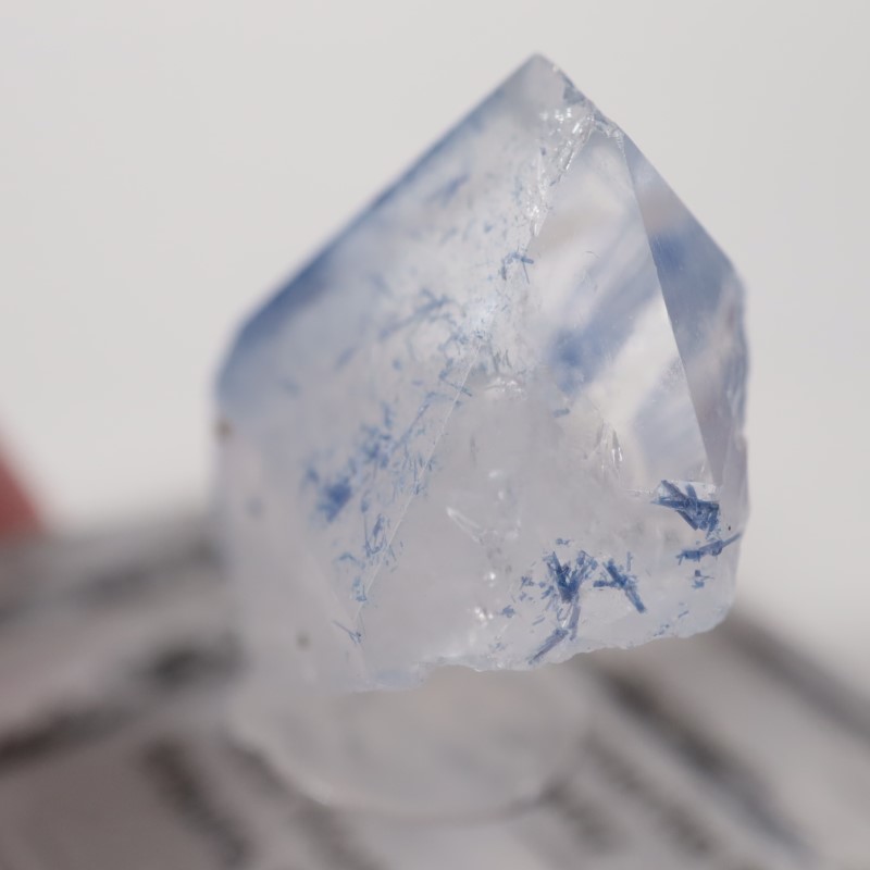 �ǥ�������饤������徽