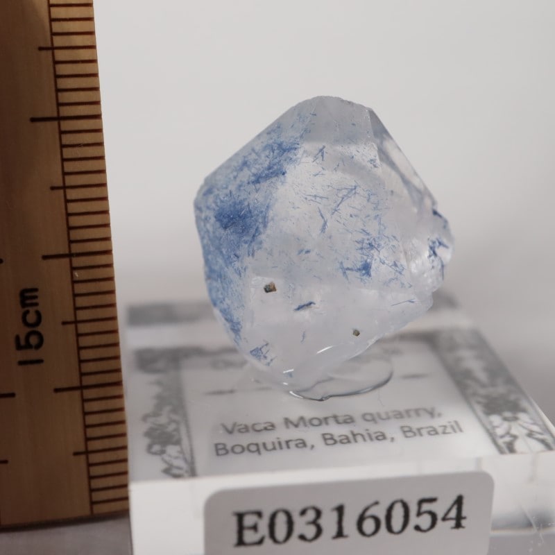 �ǥ�������饤������徽