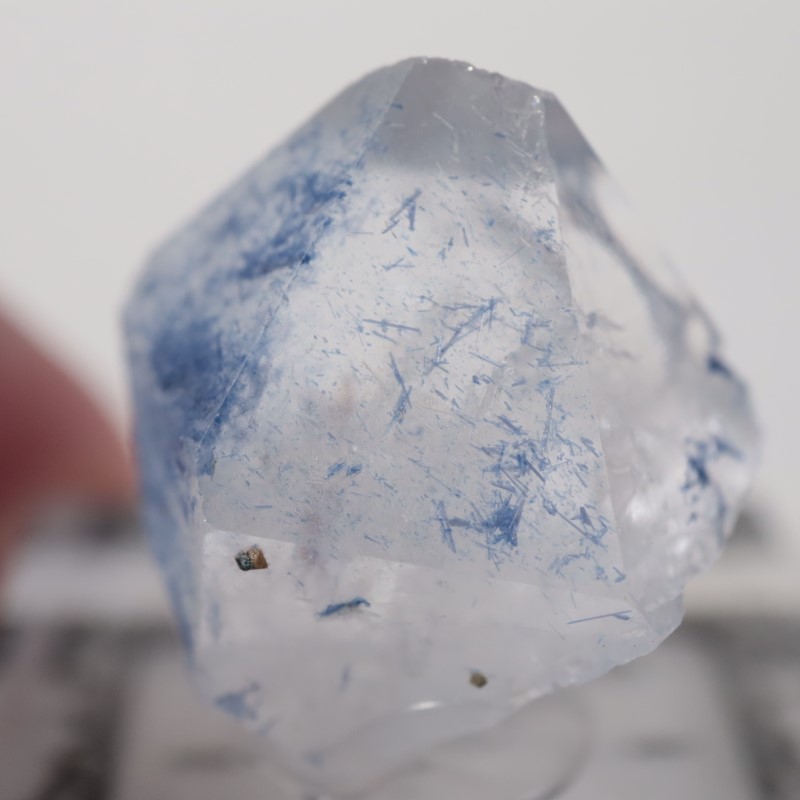 �ǥ�������饤������徽