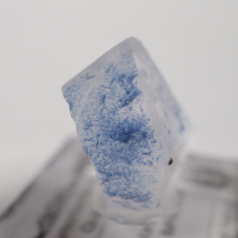 �ǥ�������饤������徽