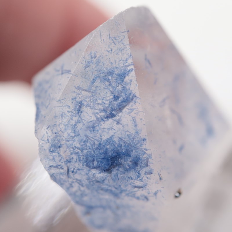 �ǥ�������饤������徽