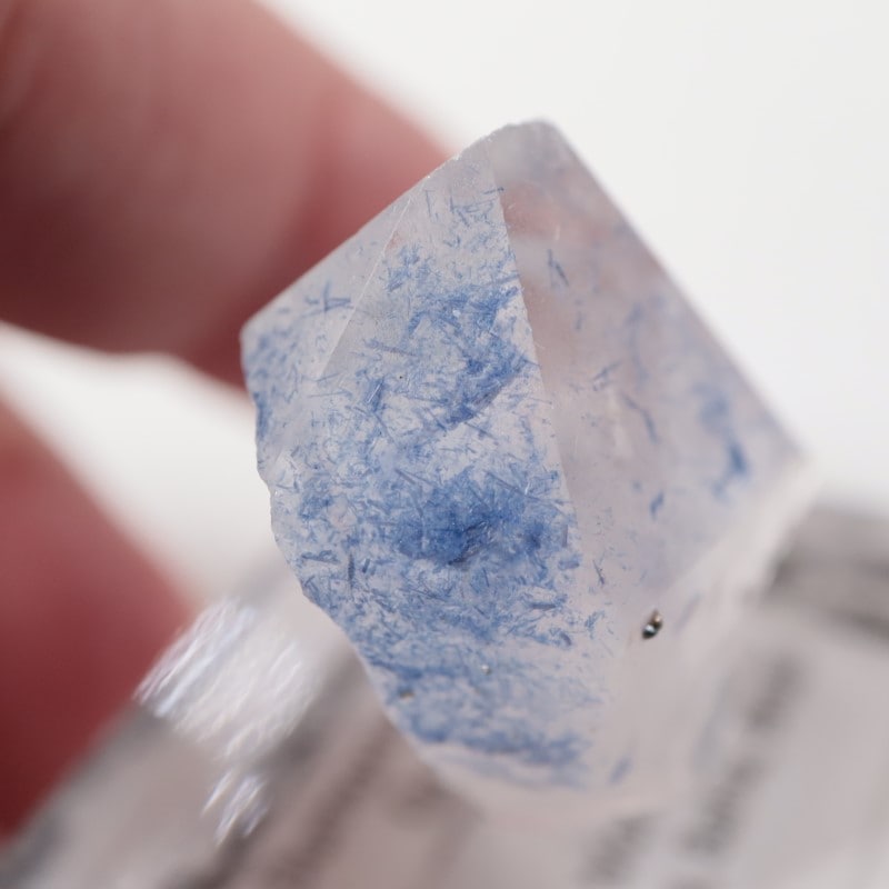 �ǥ�������饤������徽