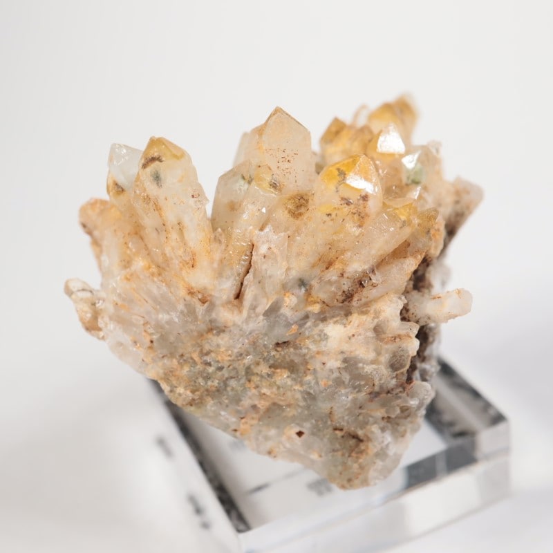 ���������п徽