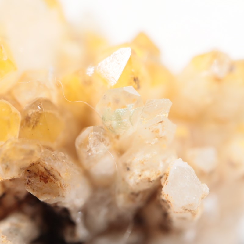 ���������п徽