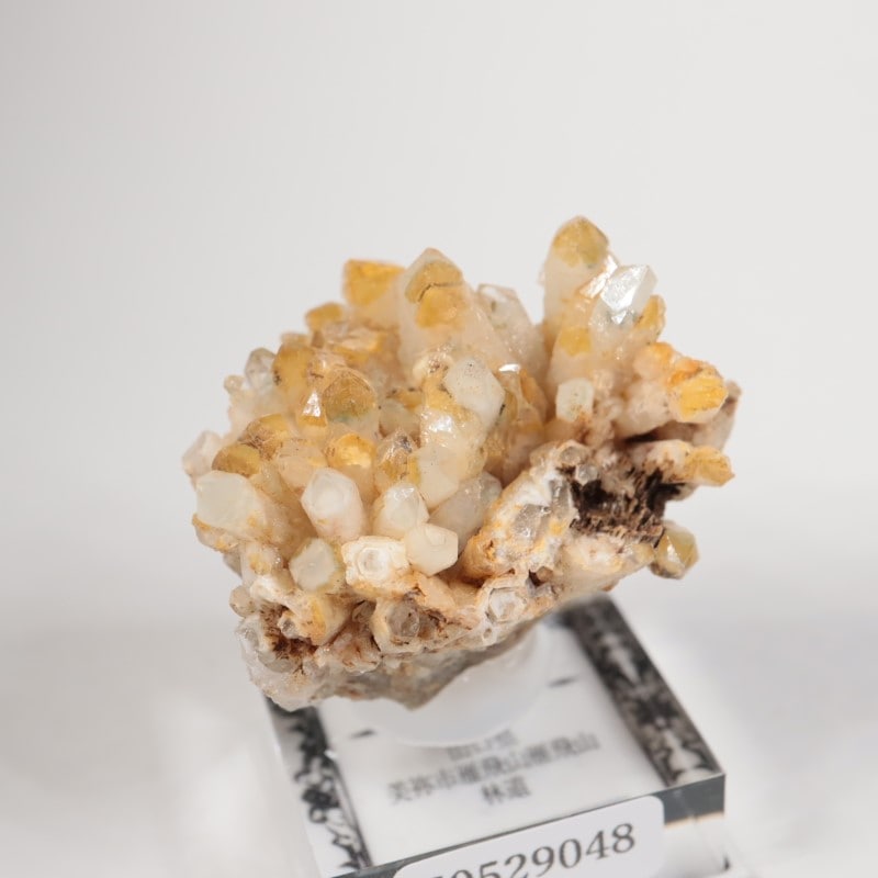 山口県 緑水晶 | 鉱物標本,カ行,クォーツ/水晶 | ほたるみねらる