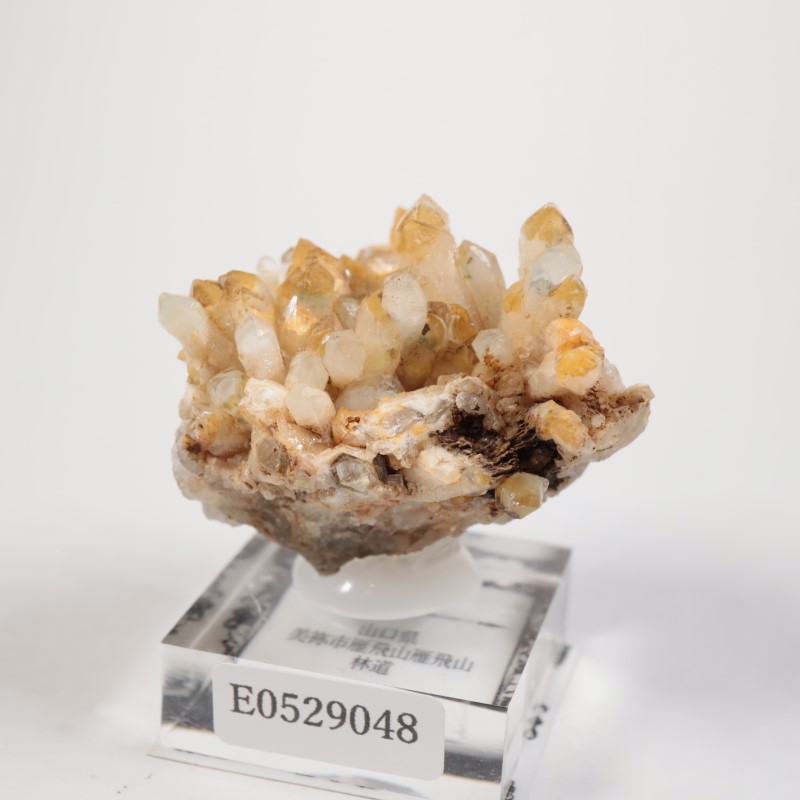 ローズクォーツ 水晶 結晶 標本 ほたるみねらる ブラジル産 ローズクォーツ | 鉱物標本,カ行,クォーツ/水晶