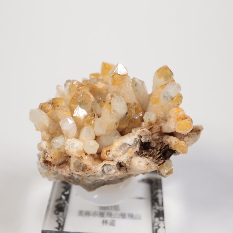 ���������п徽