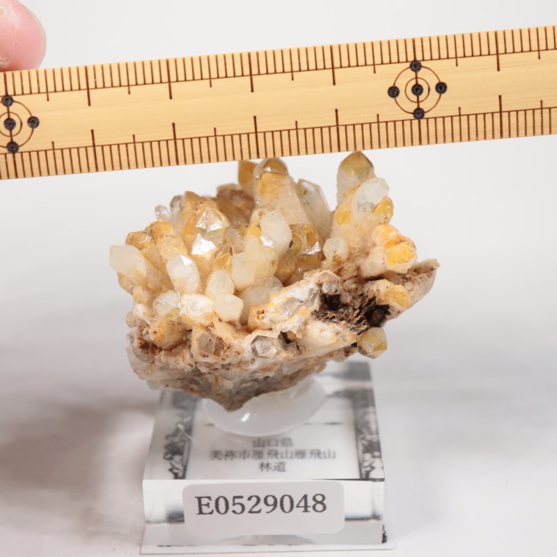 ���������п徽