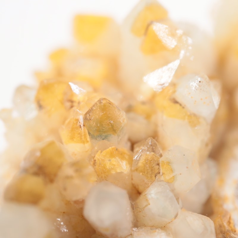 ���������п徽