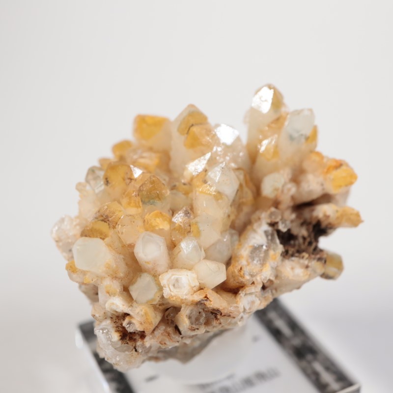 ���������п徽