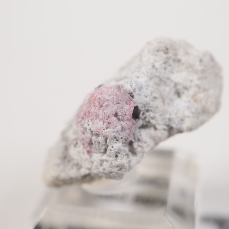 �楿���� ��åɥ٥��