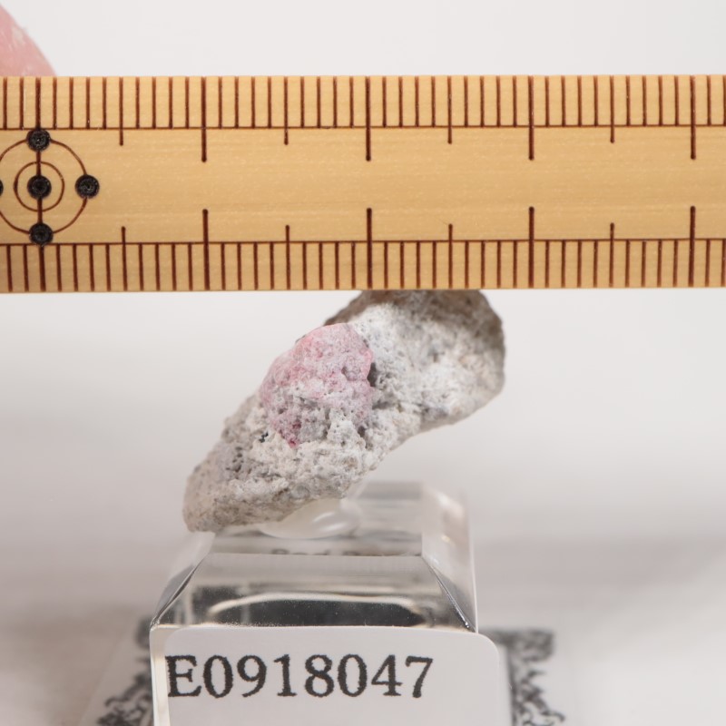 �楿���� ��åɥ٥��