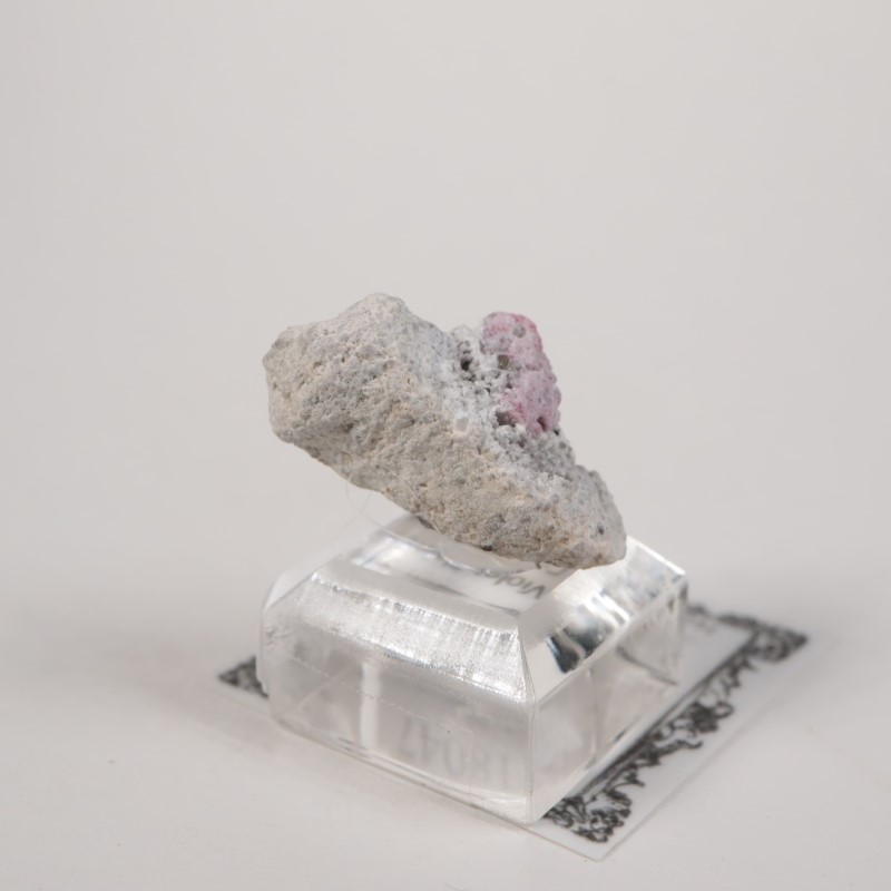 �楿���� ��åɥ٥��