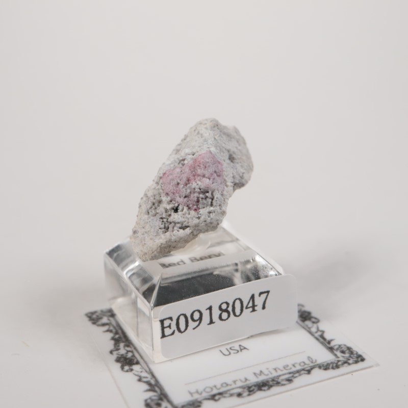 �楿���� ��åɥ٥��