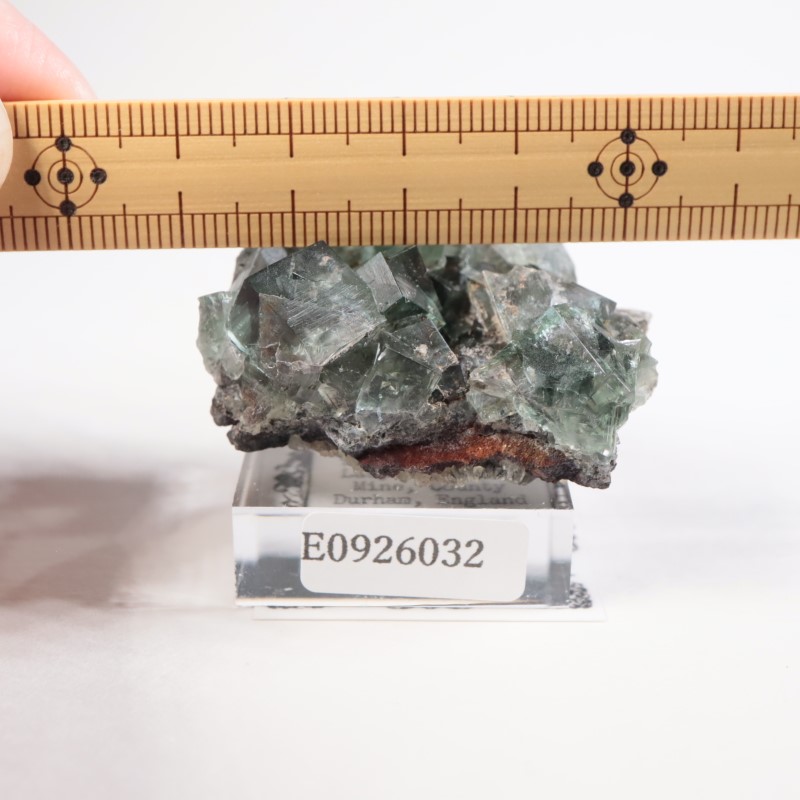 へレンズポケット産 フローライト | 鉱物標本,ハ行,フローライト/蛍石