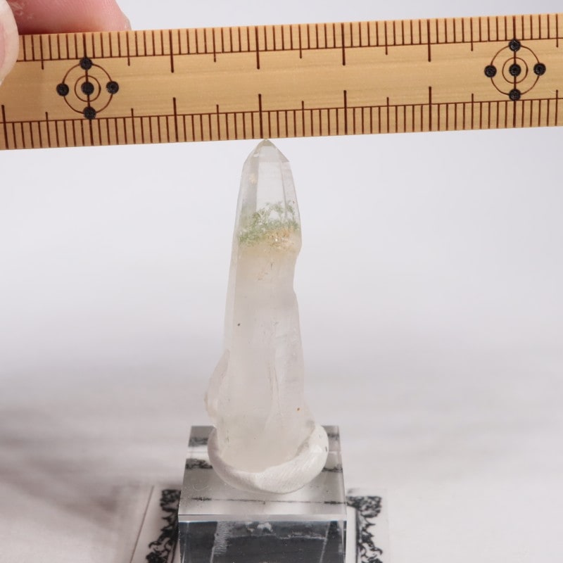 �Хå���ۻ��� �徽