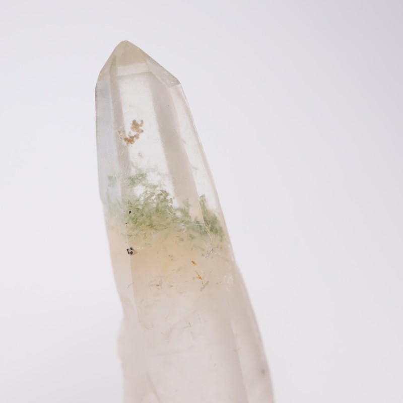 �Хå���ۻ��� �徽