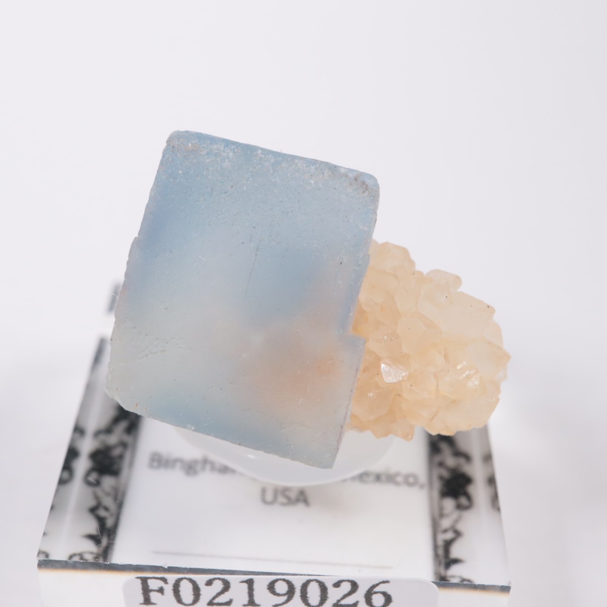 �˥塼�ᥭ�������� �ե����饤��