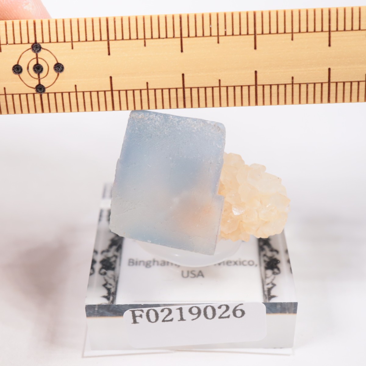 �˥塼�ᥭ�������� �ե����饤��