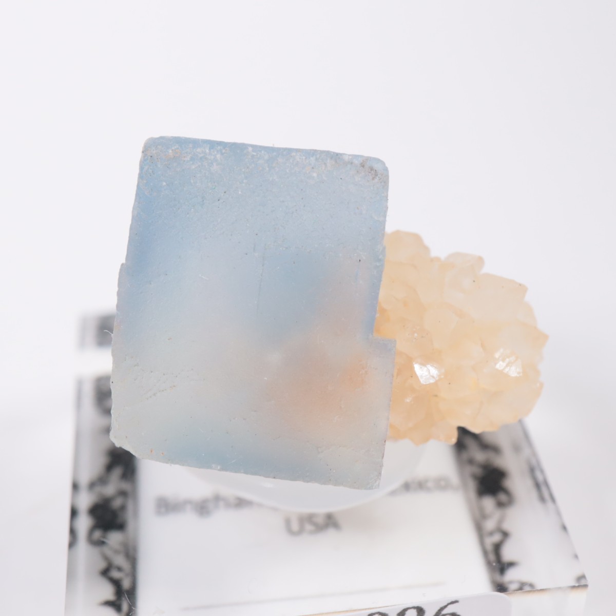 �˥塼�ᥭ�������� �ե����饤��