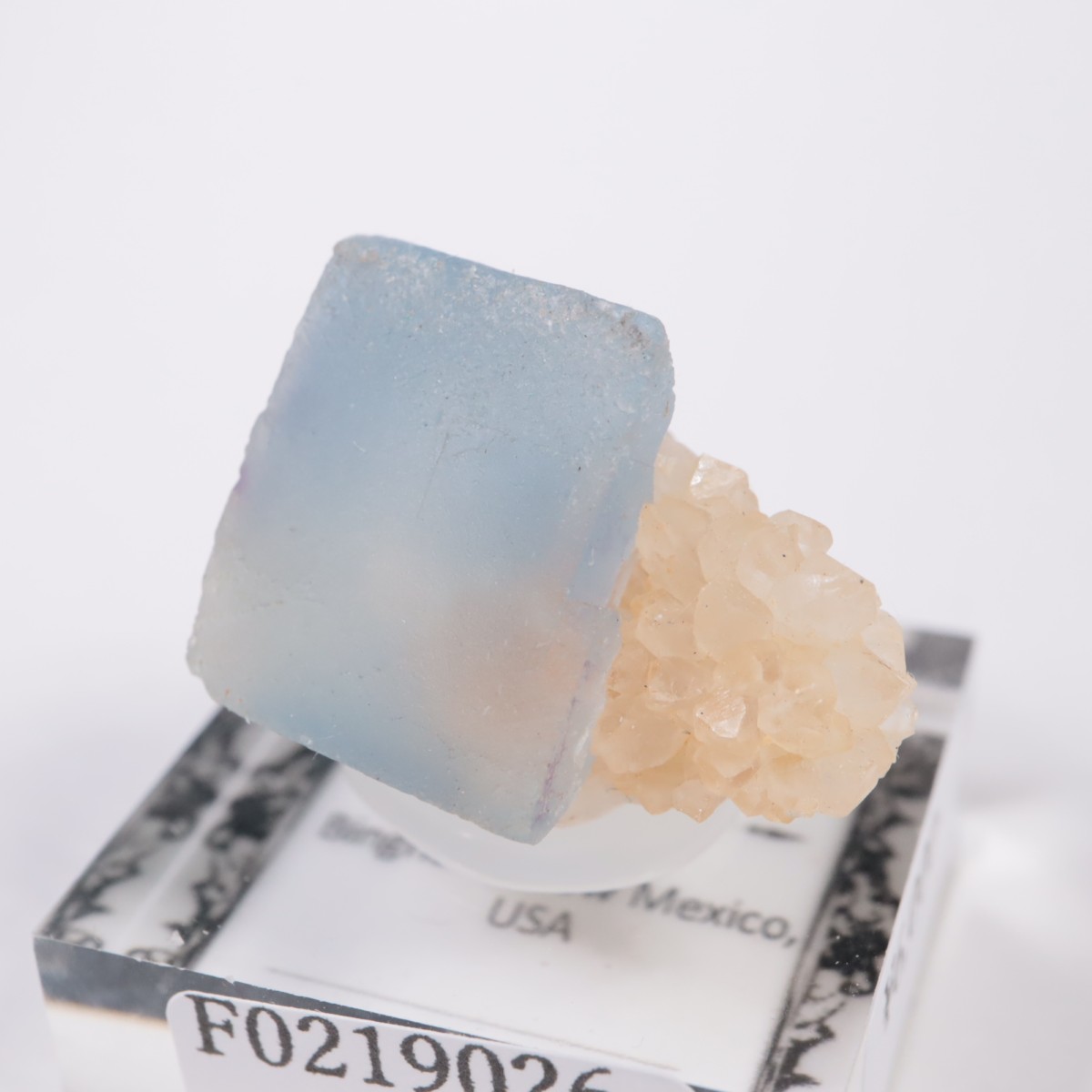 �˥塼�ᥭ�������� �ե����饤��