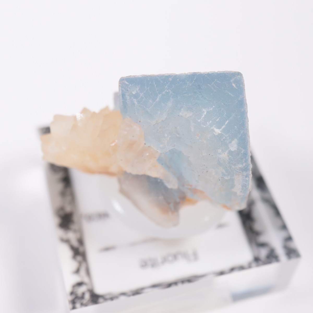 �˥塼�ᥭ�������� �ե����饤��