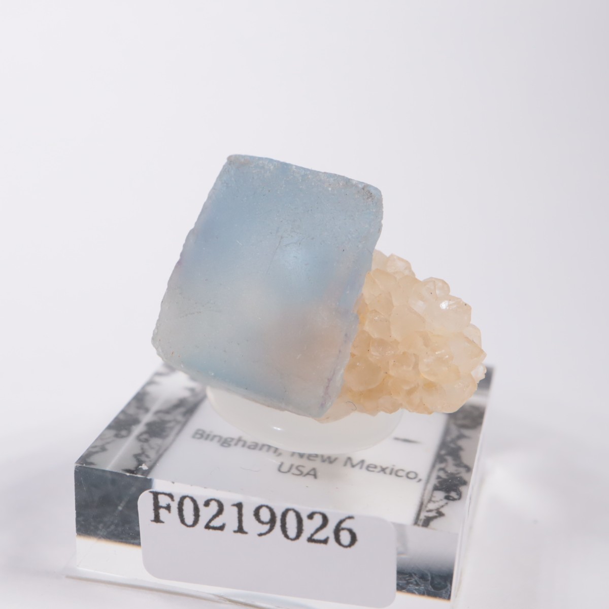 �˥塼�ᥭ�������� �ե����饤��