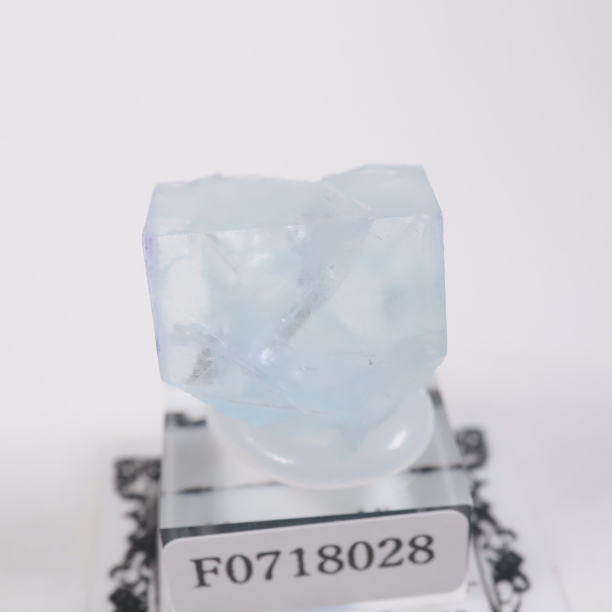 �ե�󥹻����ե����饤��