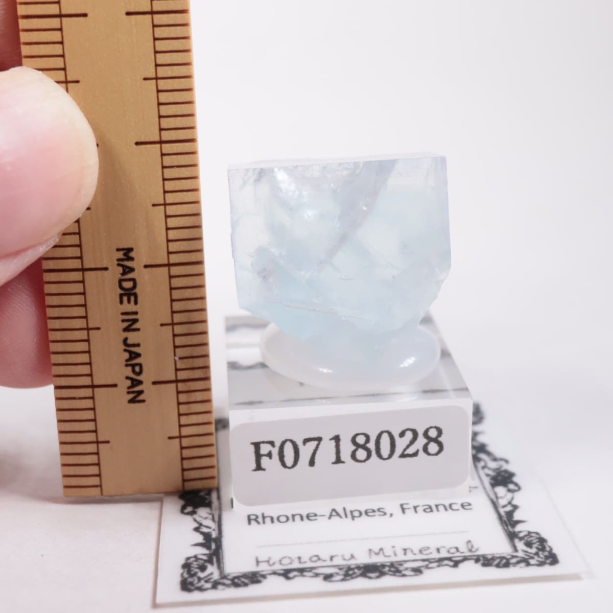 �ե�󥹻����ե����饤��