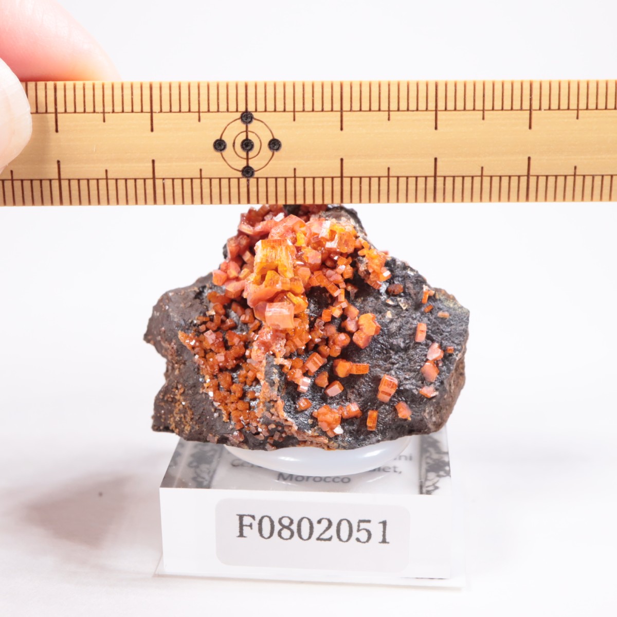 ����å��� �Хʥǥ��ʥ���