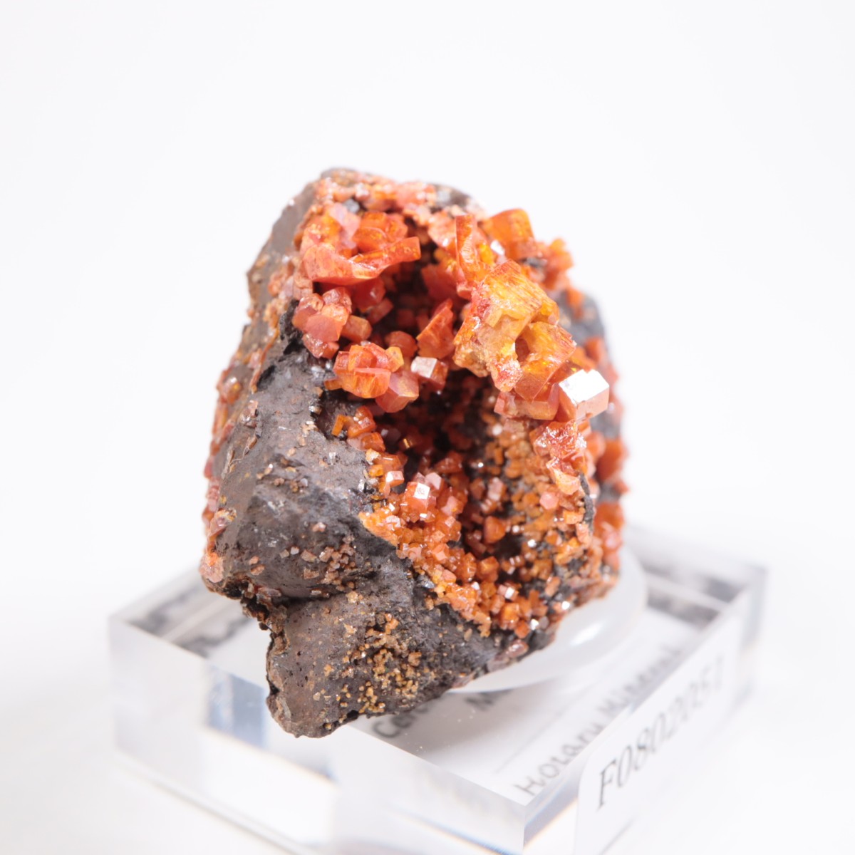 ����å��� �Хʥǥ��ʥ���