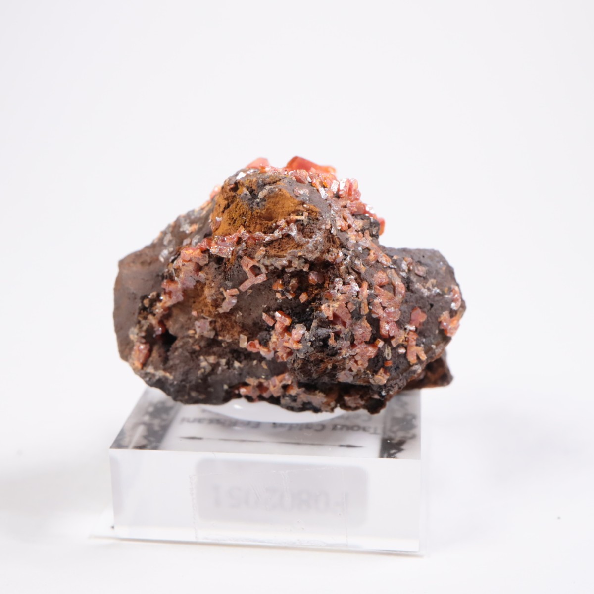 ����å��� �Хʥǥ��ʥ���