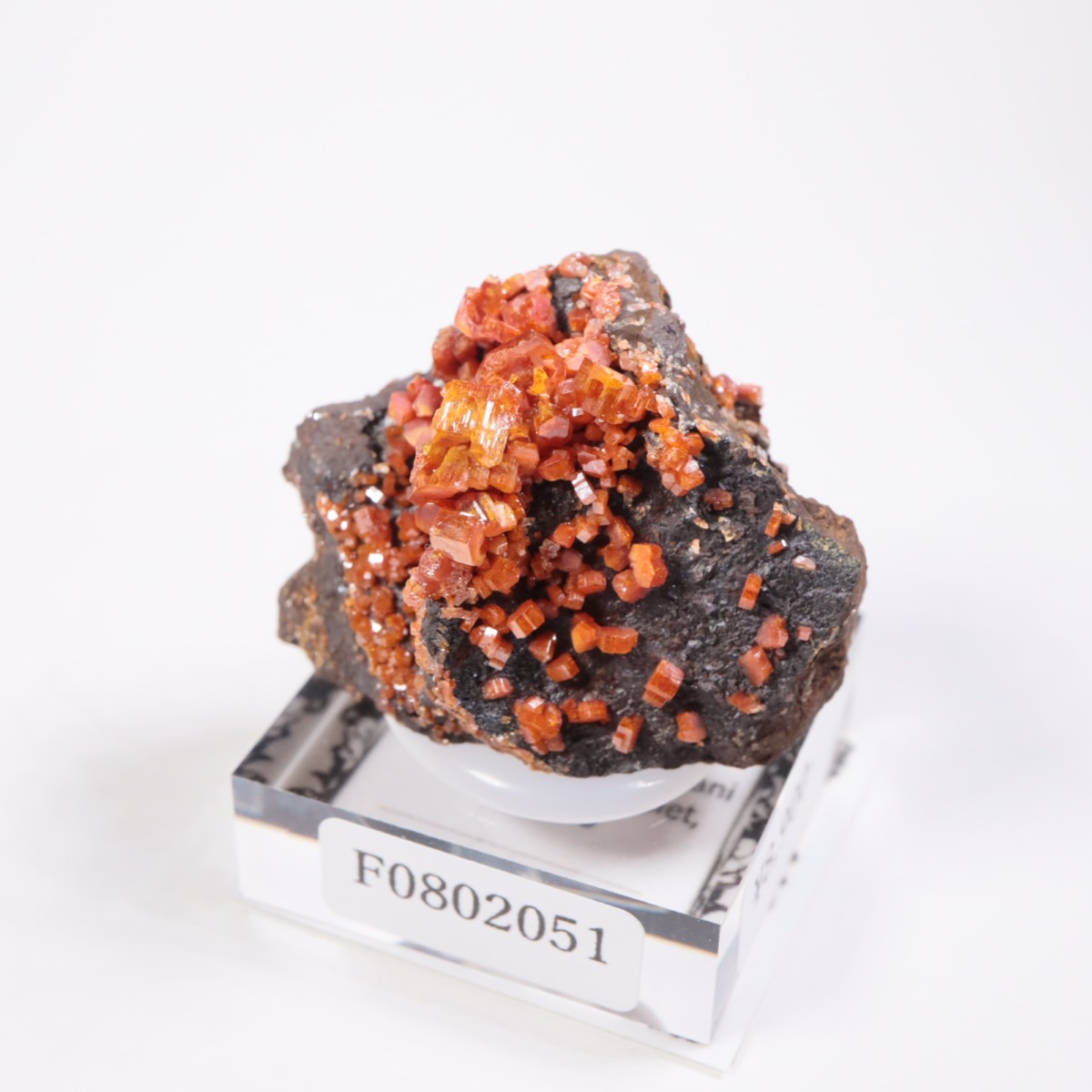 ����å��� �Хʥǥ��ʥ���