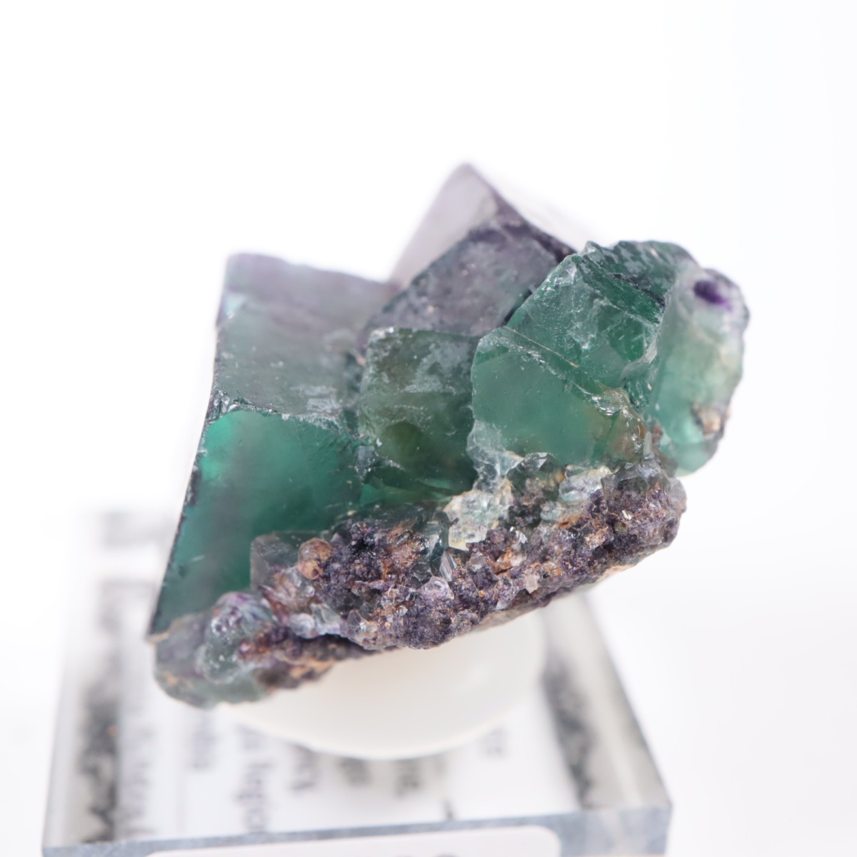 �����륹�ۻ� �ե����饤��