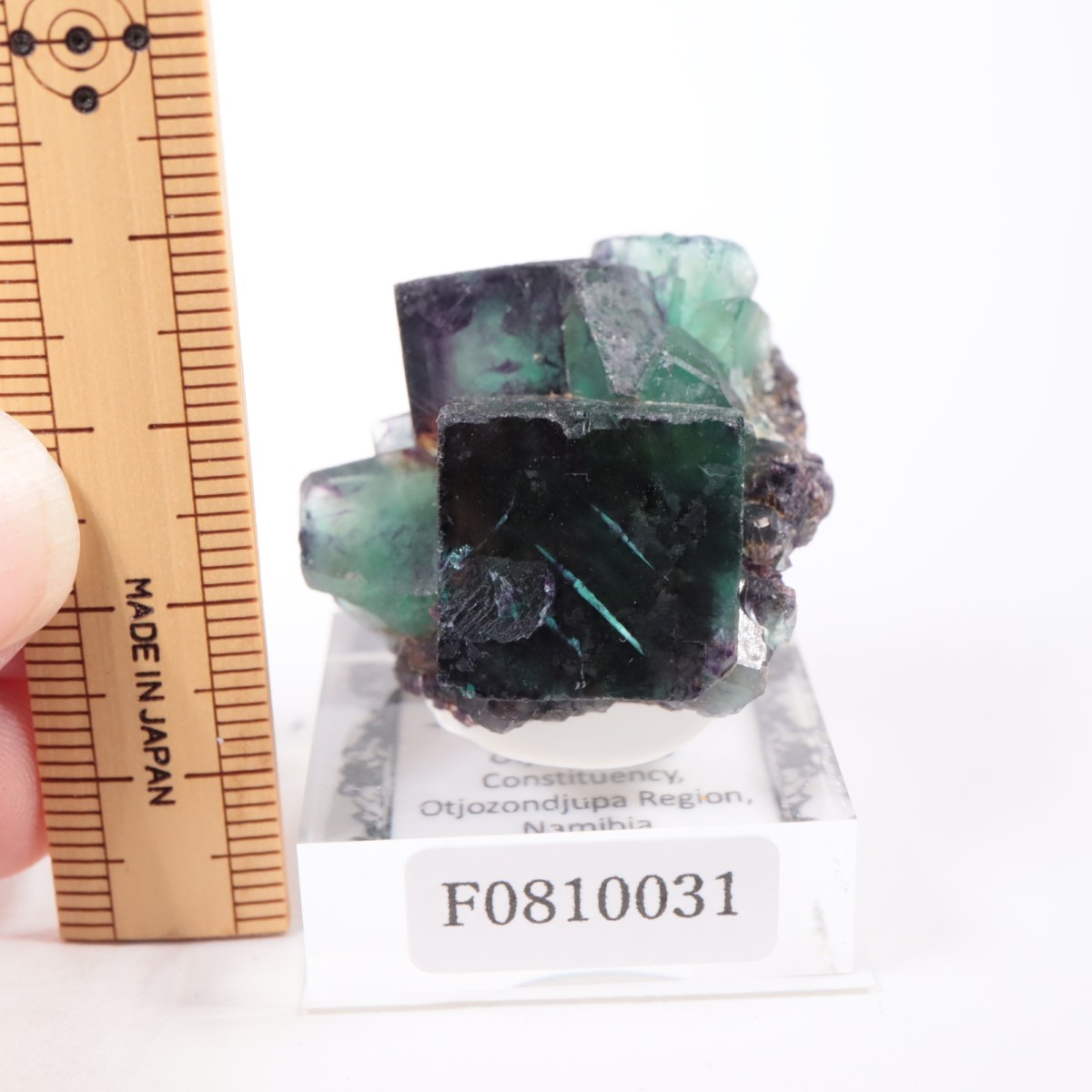 �����륹�ۻ� �ե����饤��