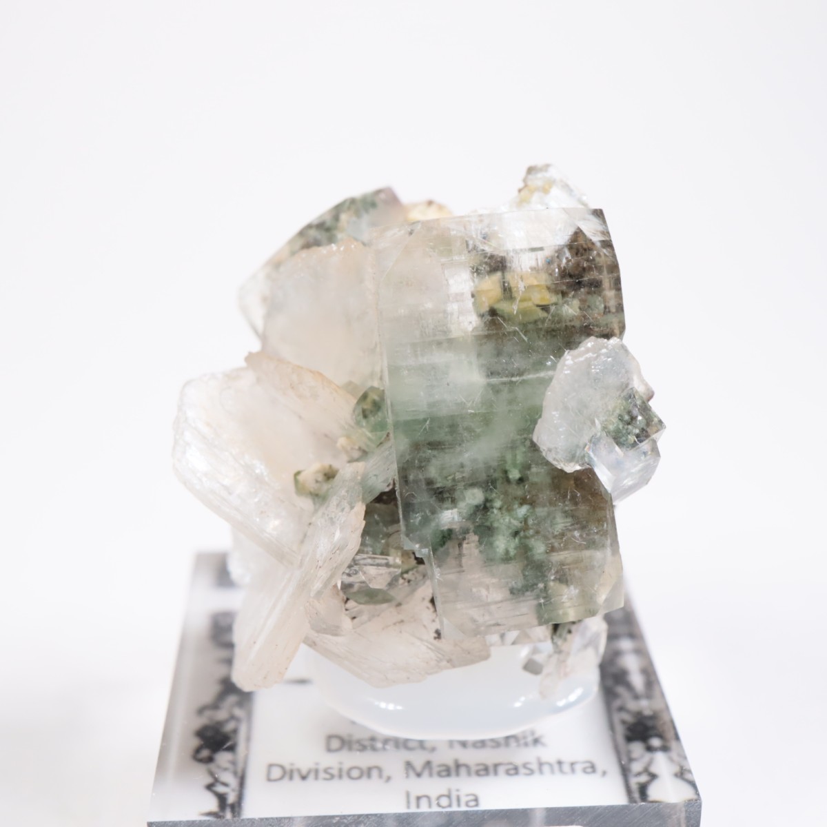 ����ɻ� ���ݥե��饤��