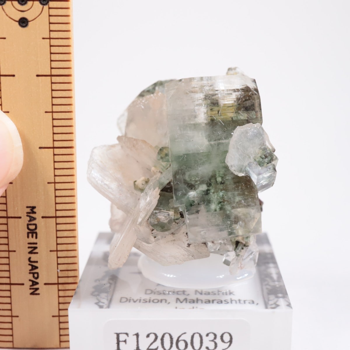 ����ɻ� ���ݥե��饤��