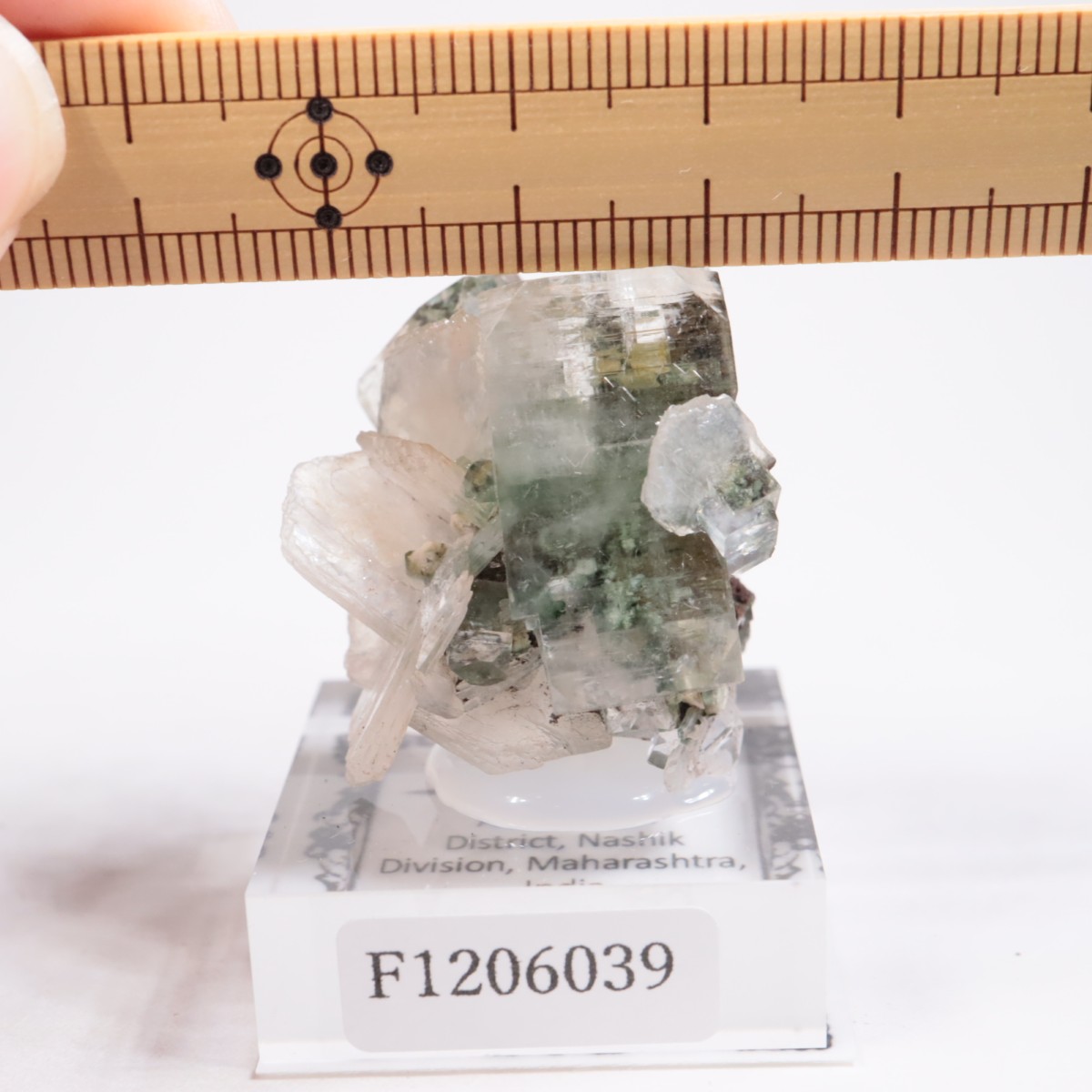 ����ɻ� ���ݥե��饤��