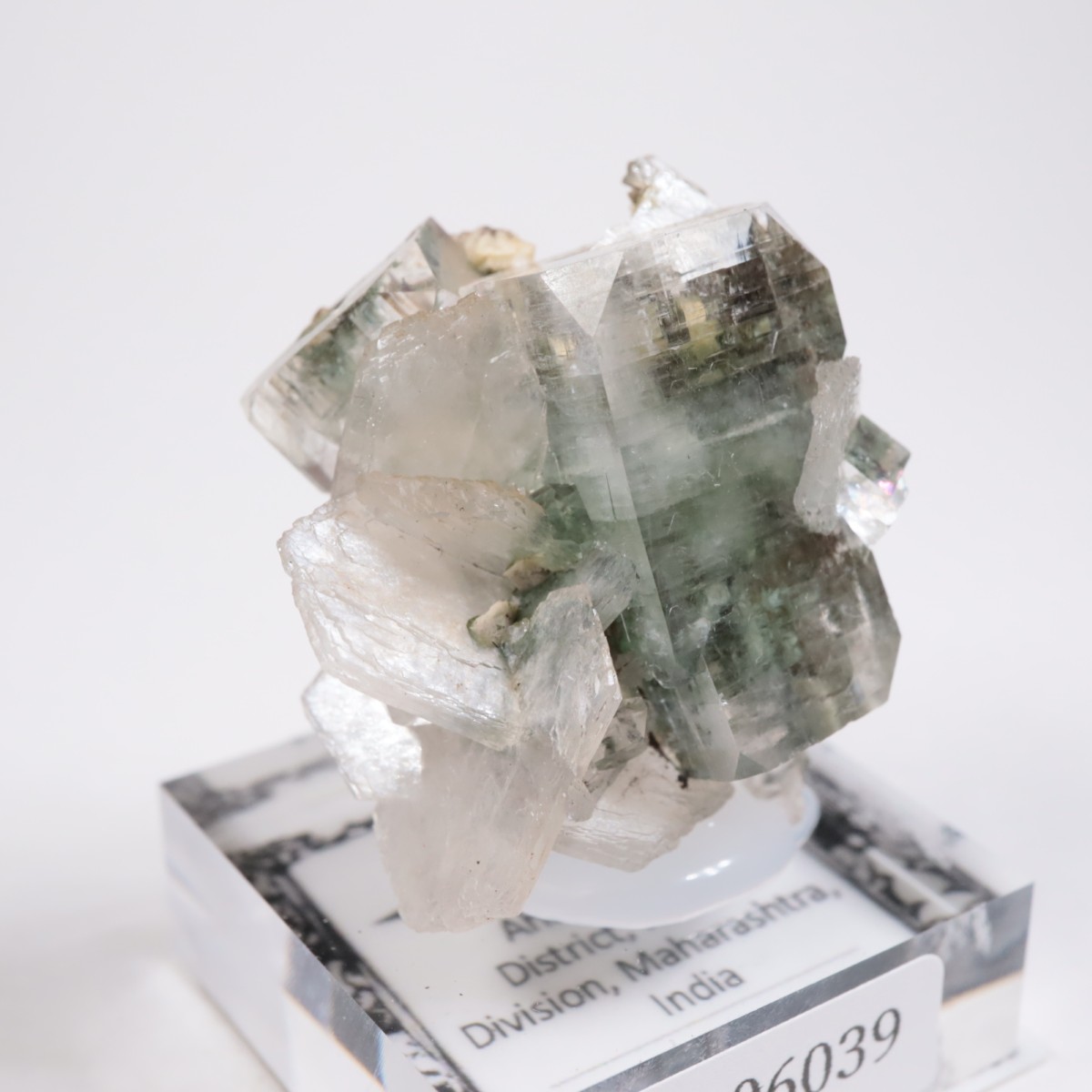 ����ɻ� ���ݥե��饤��